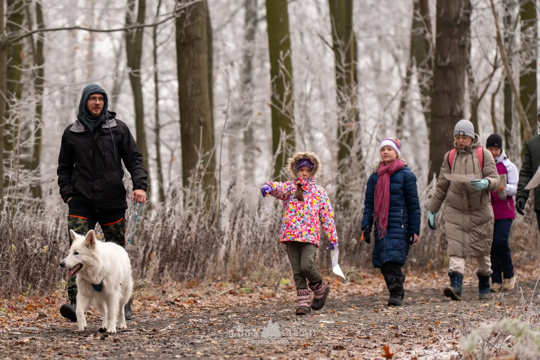 Biegacz z latarką czołową czyta mapę w zimowym lesie o zmierzchu